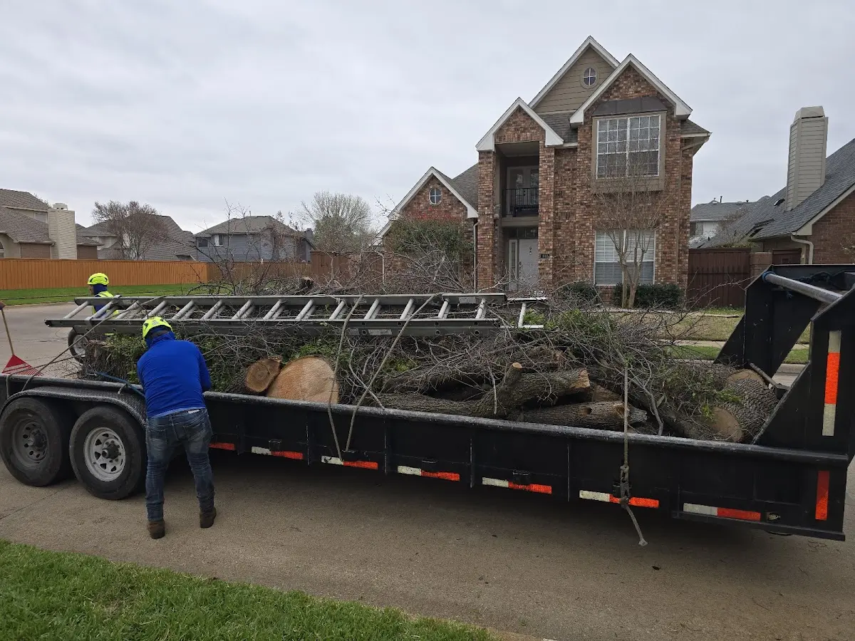 Expert Tree Pest Control with proper safety equipment in Aguilar